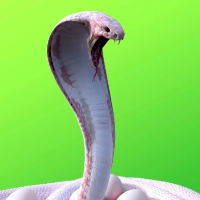 ฝันเห็นงู