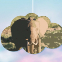 ฝันว่าเห็นช้าง